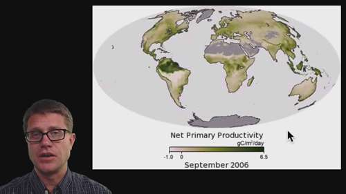 地表生态系统的能量流动