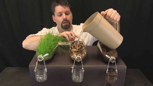 水土流失和土壤状况