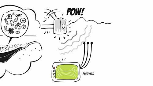 赛普萨石油勘探与生产业务