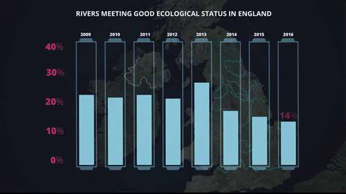 实时水质监测技术