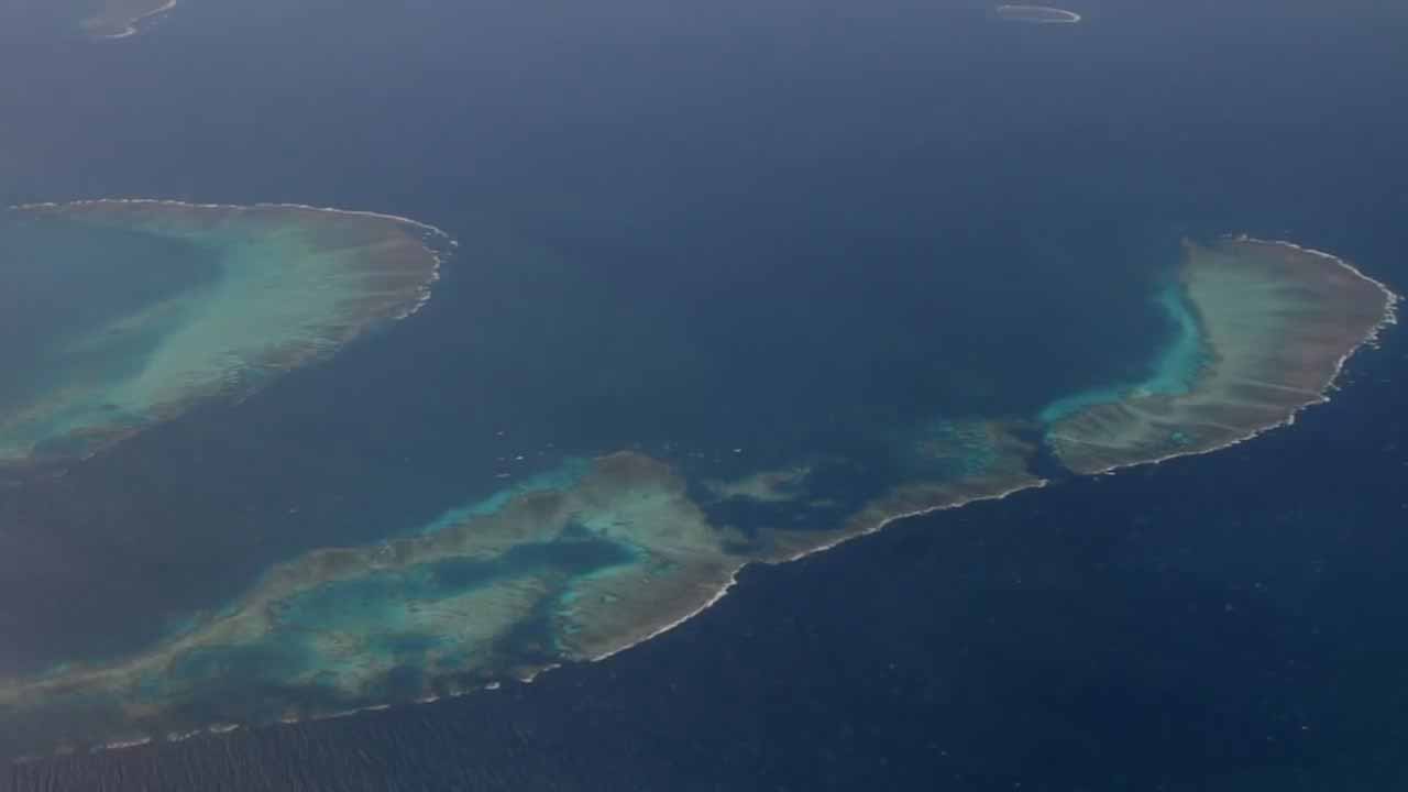 珊瑚礁合作项目