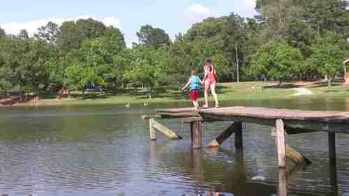 有毒物质释放报告制度(TRI)