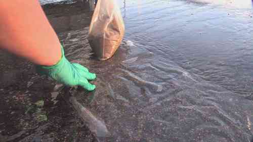 如何收集工业雨水的样本