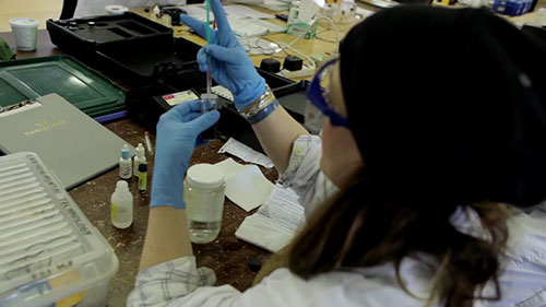 成为环境技术员