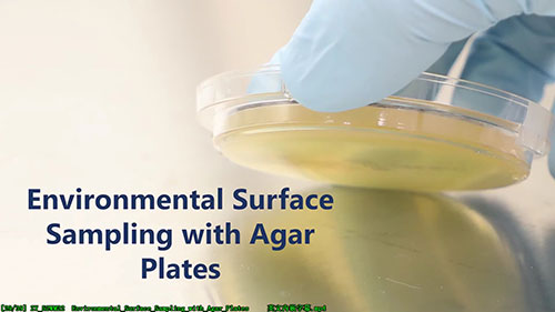 用琼脂板进行环境取样