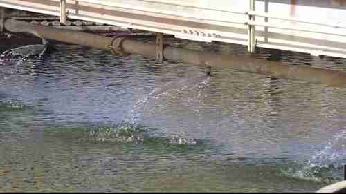 污水处理与研究