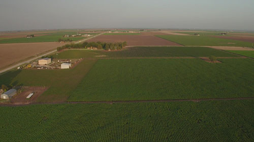棉花种植中的滴灌技术