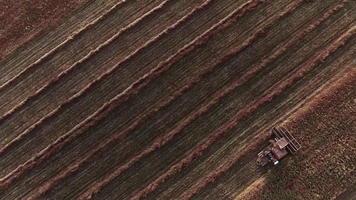 保护和再生土壤
