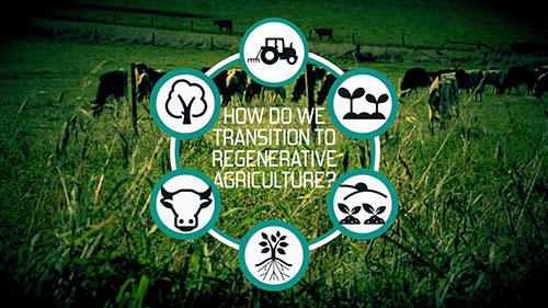 向可再生农业转变