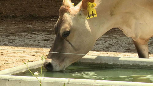 农场的节约用水和污水管理