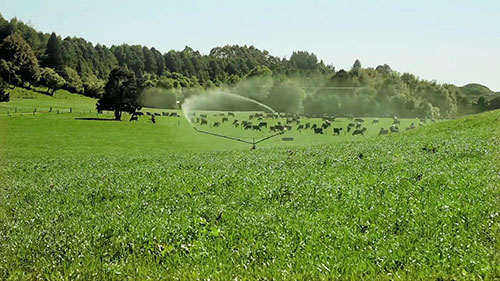 奶牛场污水管理系统