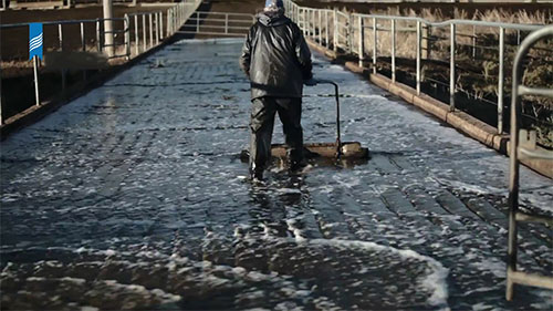 如何利用奶牛场废水