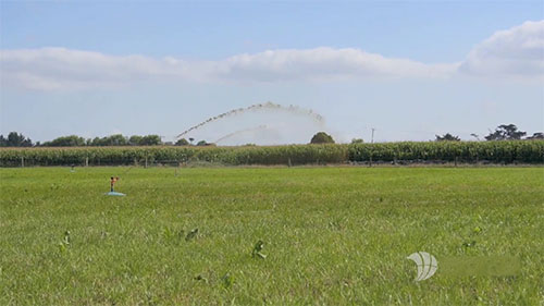 新西兰奶农污水灌溉解决方案