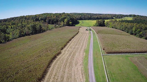 用地下滴灌系统种植玉米