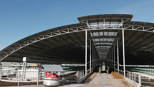 转化和利用奶牛场废水