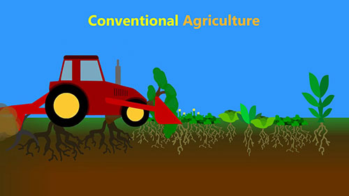 潜力巨大的可再生农业