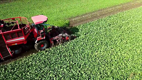 健康的土壤和可再生农业