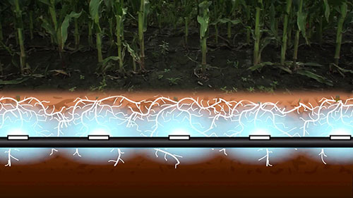 创新的玉米灌溉方式