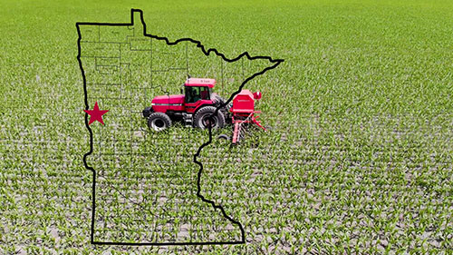 免耕方式种植玉米和大豆