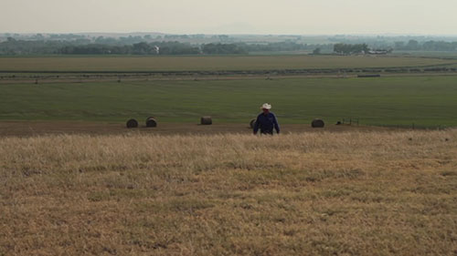 免耕农业对土壤的好处