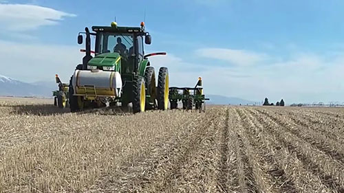 免耕农业保障土壤健康