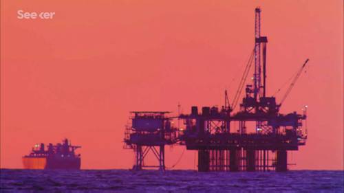 为什么鸟类会受到石油泄漏的影响