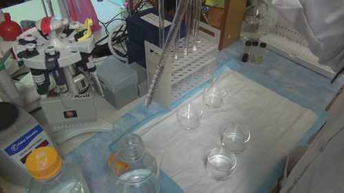 墨西哥湾石油泄漏的危害性