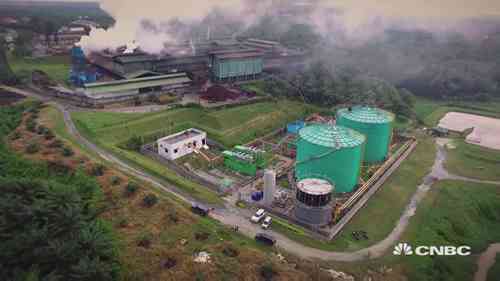 可持续的生物质能