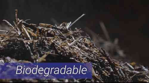 什么是生物燃料