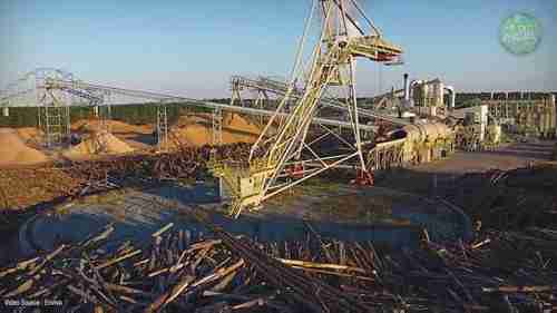 生物质能真的可持续吗