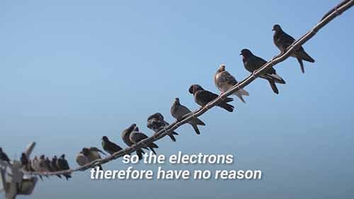 为什么鸟站在输电线上不会触电