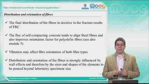 纤维的取向和分布