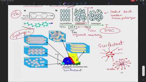 液晶聚合物：热致性与溶致性