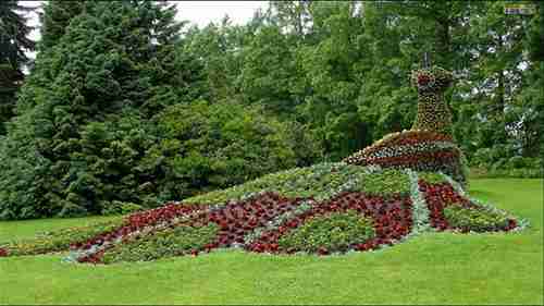 庭院设计大赏 2