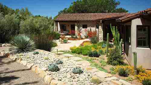 耐旱绿植置景创意