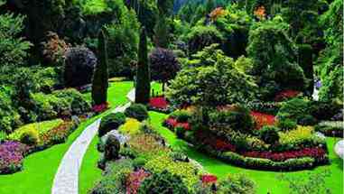 加拿大布查德花园