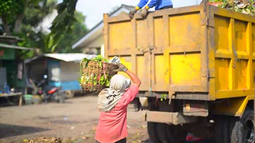 生物废弃物处理技术