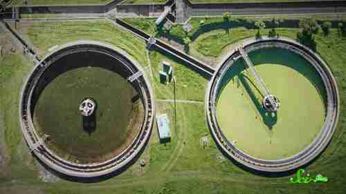 粪便能回收利用吗