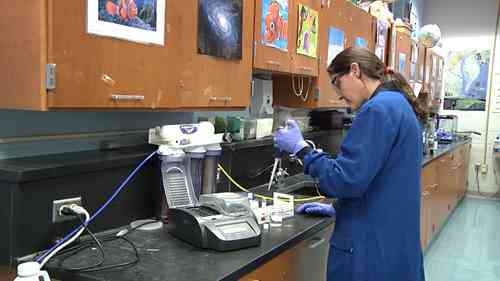 污水科学 2 水质