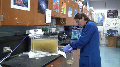 污水科学 4 初级流入物