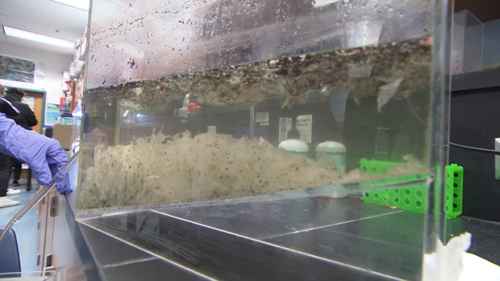 污水科学 5 一级处理