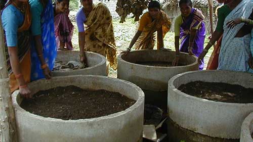蠕虫处理生物垃圾