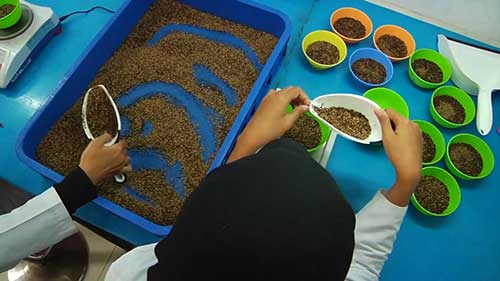 黑水虻废物处理设施