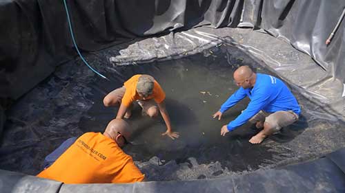 打造锦鲤池 17 部件组装与平整衬垫