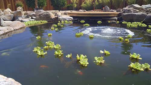 打造锦鲤池 25 管道连接与回填