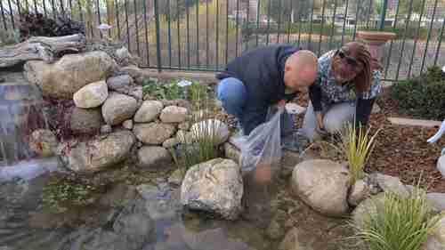 改善问题池塘 2