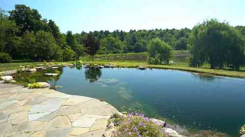 格雷格园林造景之旅 1 纽约