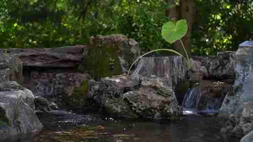 格雷格园林造景之旅 6 宾夕法尼亚州
