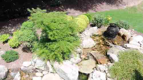 格雷格园林造景之旅 11 乔治亚州