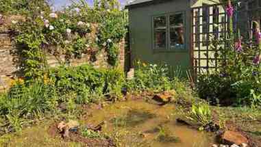 小型池塘的施工过程